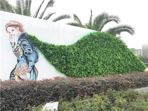 园林植物冻害问题的研究
